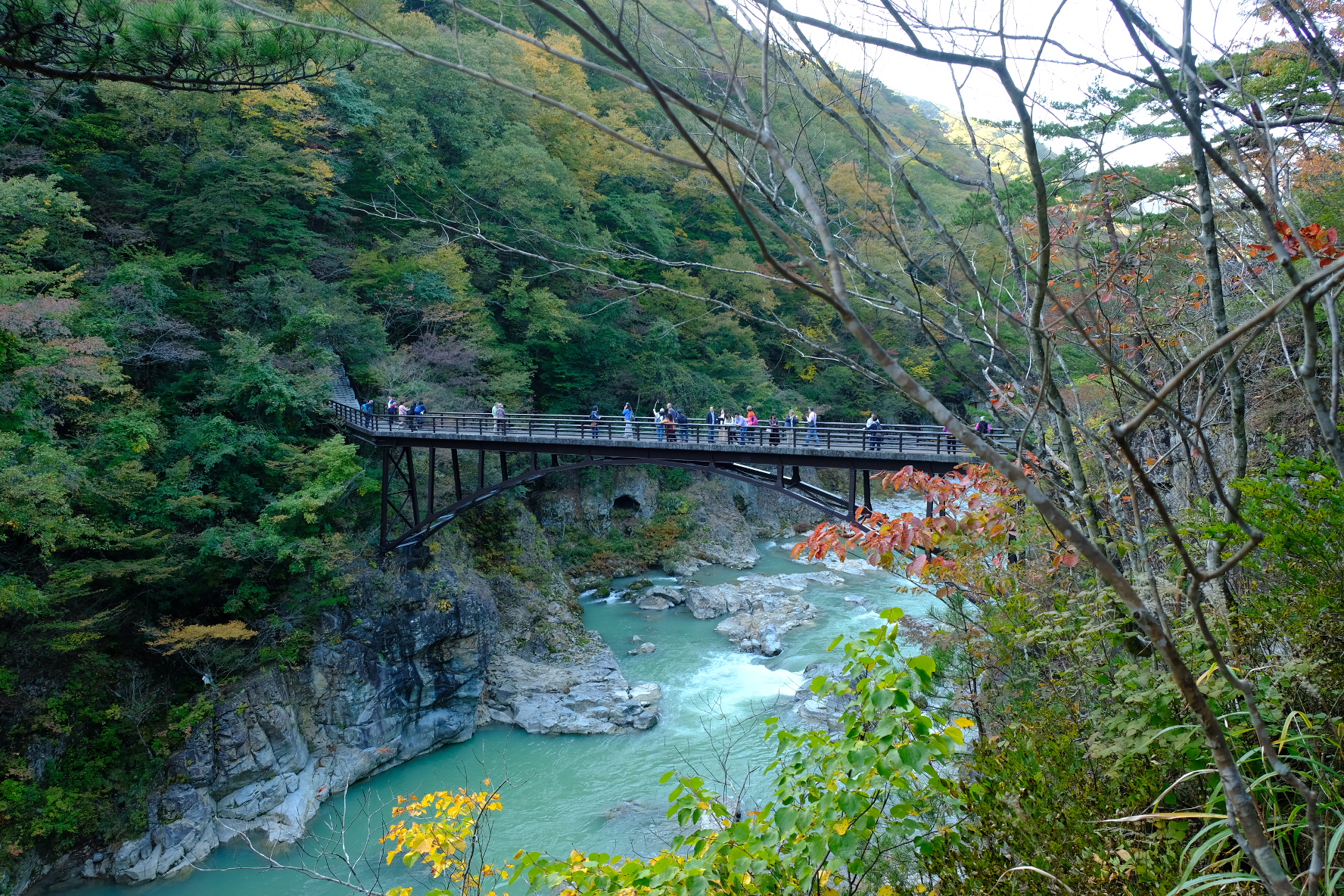 The bridge over super green water (lots of algae?)