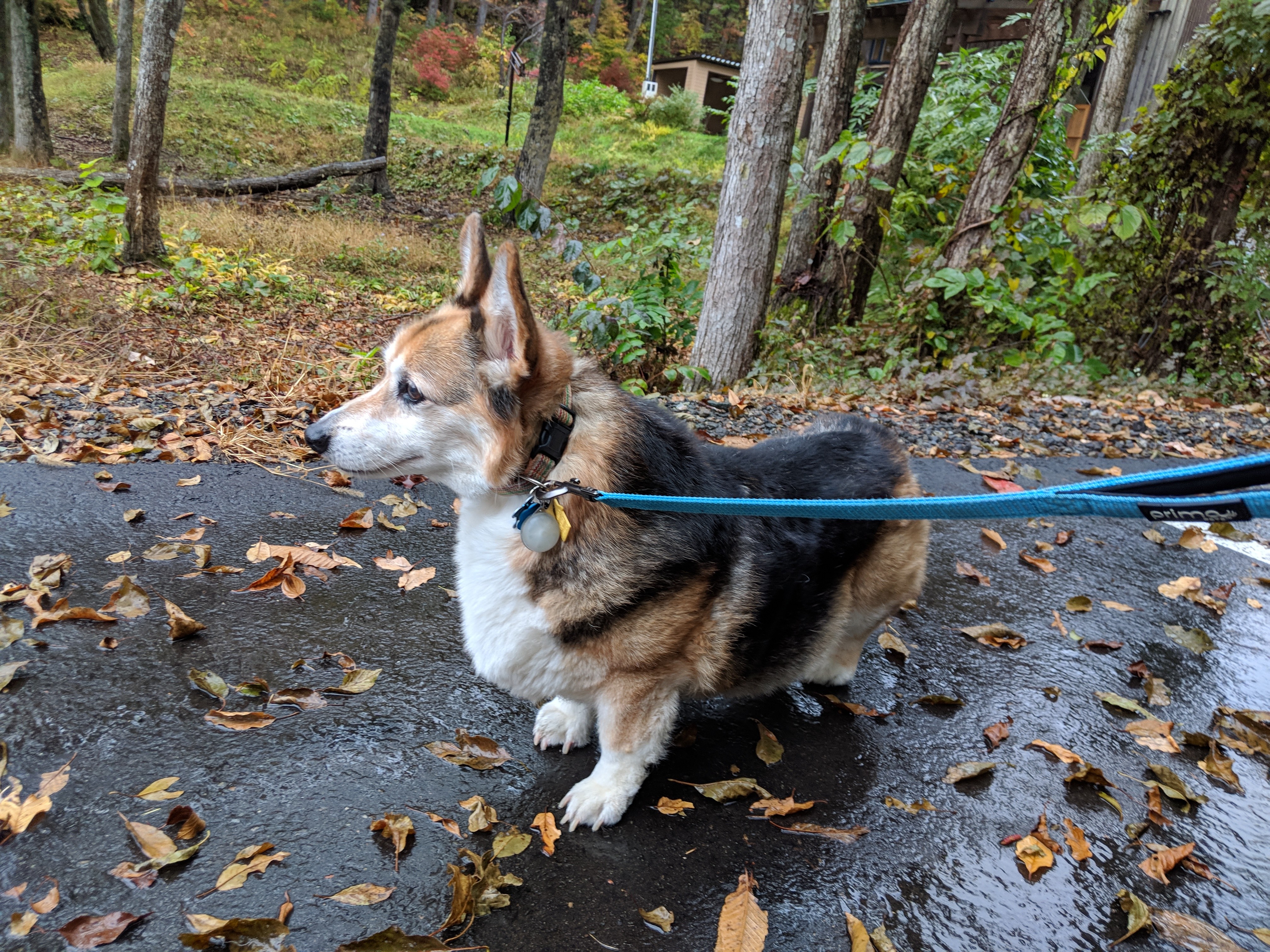 Einstein ready to start the day