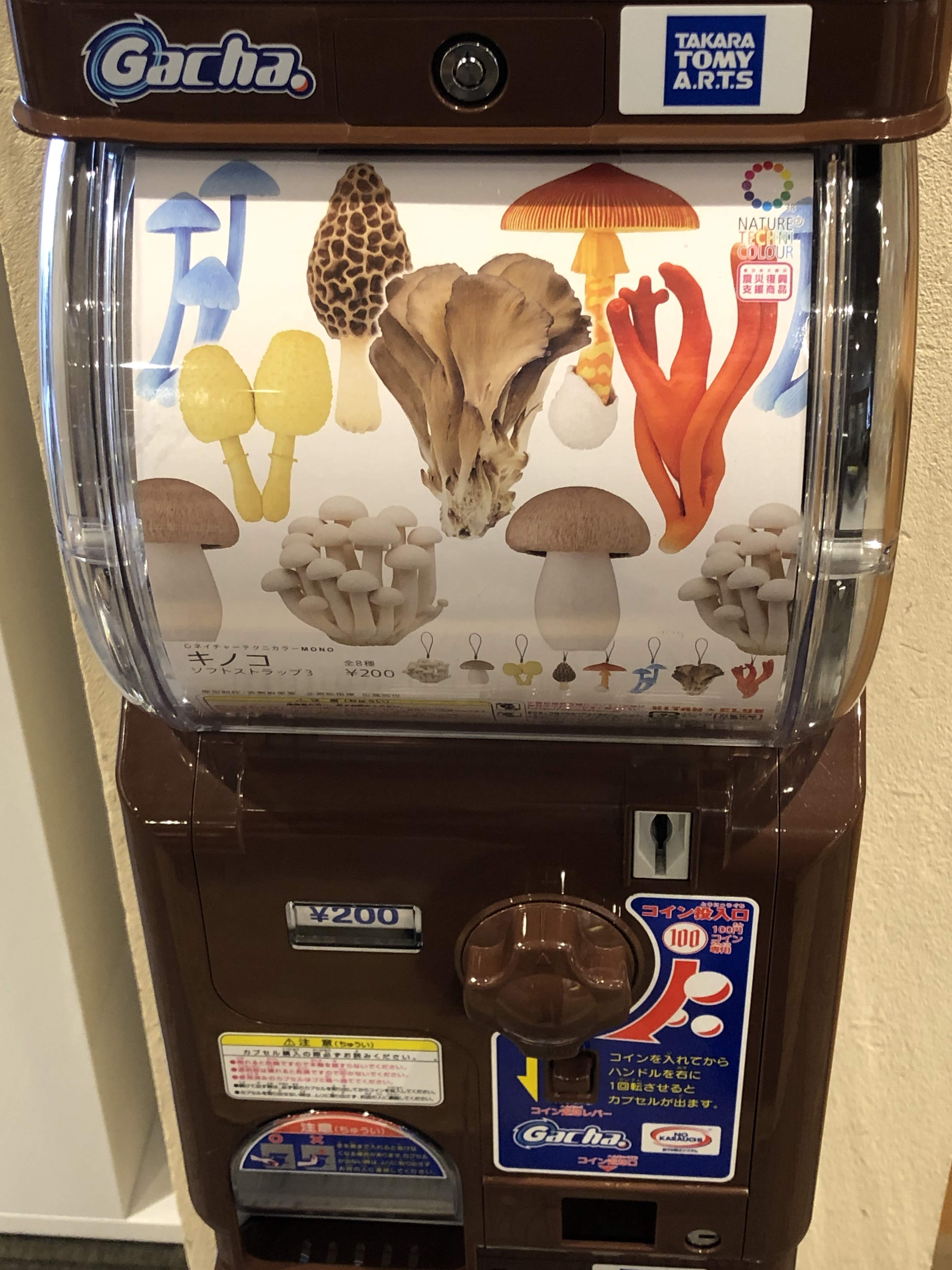 A gacha machine at Shikotsu that dispenses mushroom keychains... NO THANKS