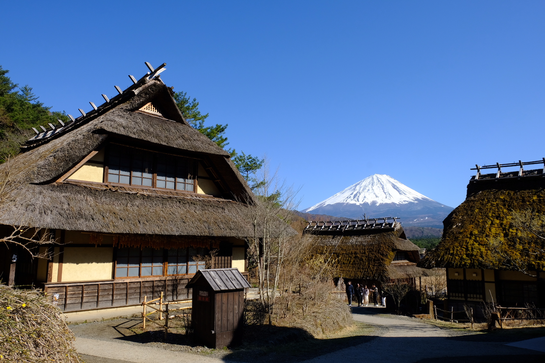 The village's view of Mt. Fuji