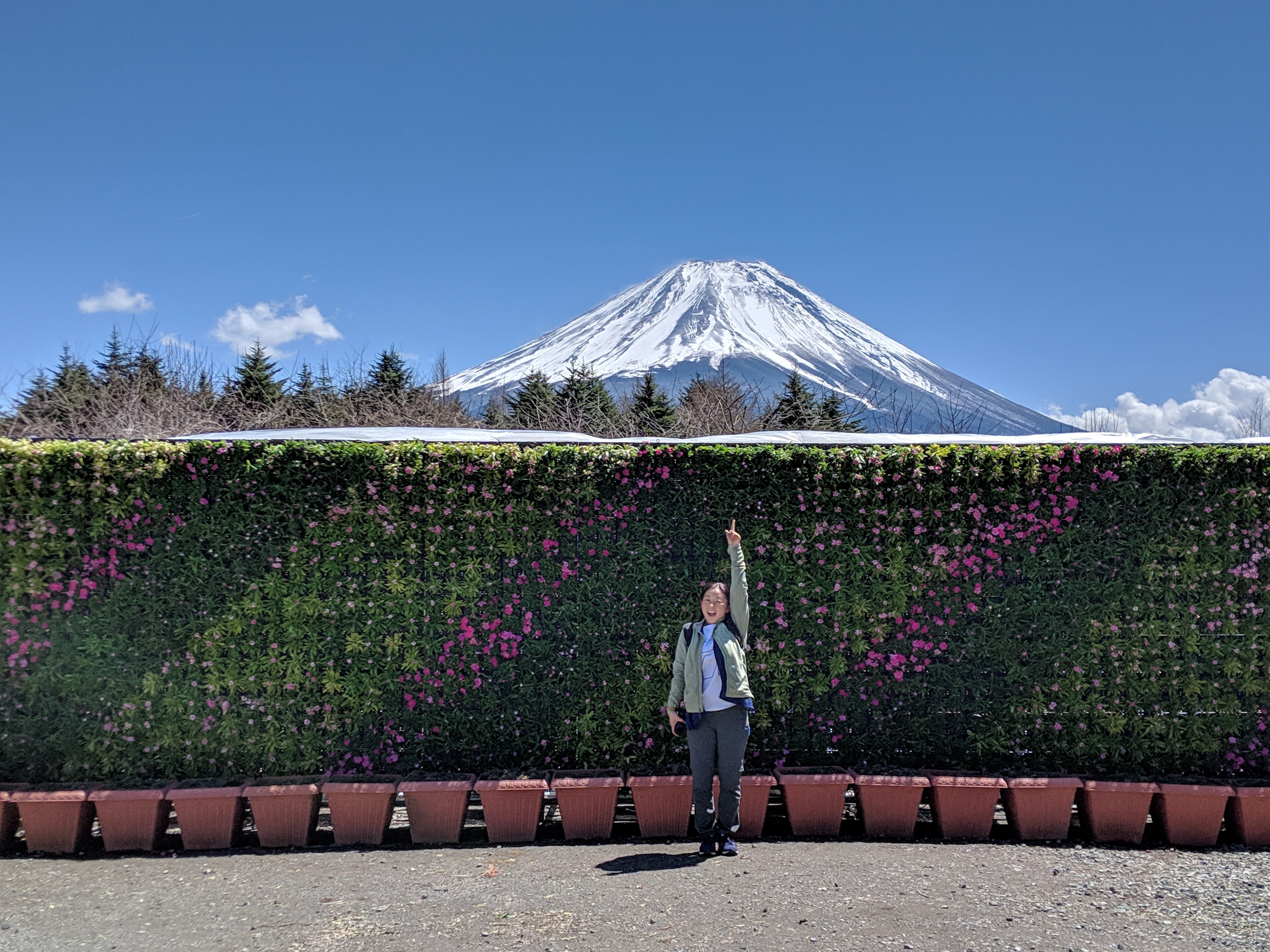Obligatory flowers + Fuji shot